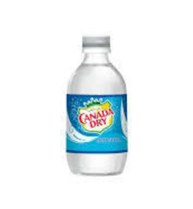 Canada Dry Club Soda 10oz