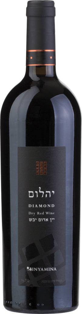 Binyamina The Chosen Diamond Dry Red Wine 2019 750ml
