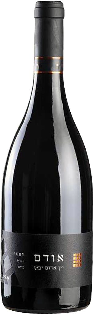 Binyamina The Chosen Ruby Dry Red Wine 2018 750ml