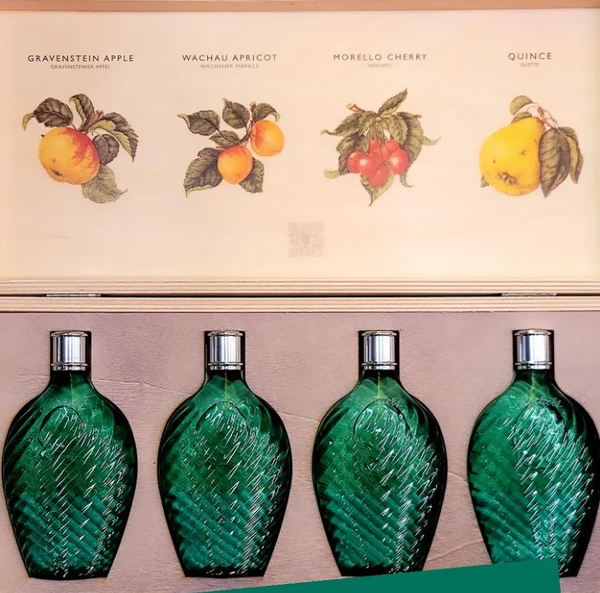 Rochelt Gift Pack 4x100ml