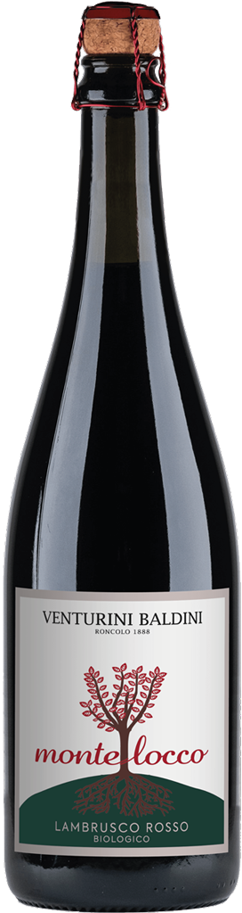 Venturini Baldini Montelocco Lambrusco Rosso 750ml