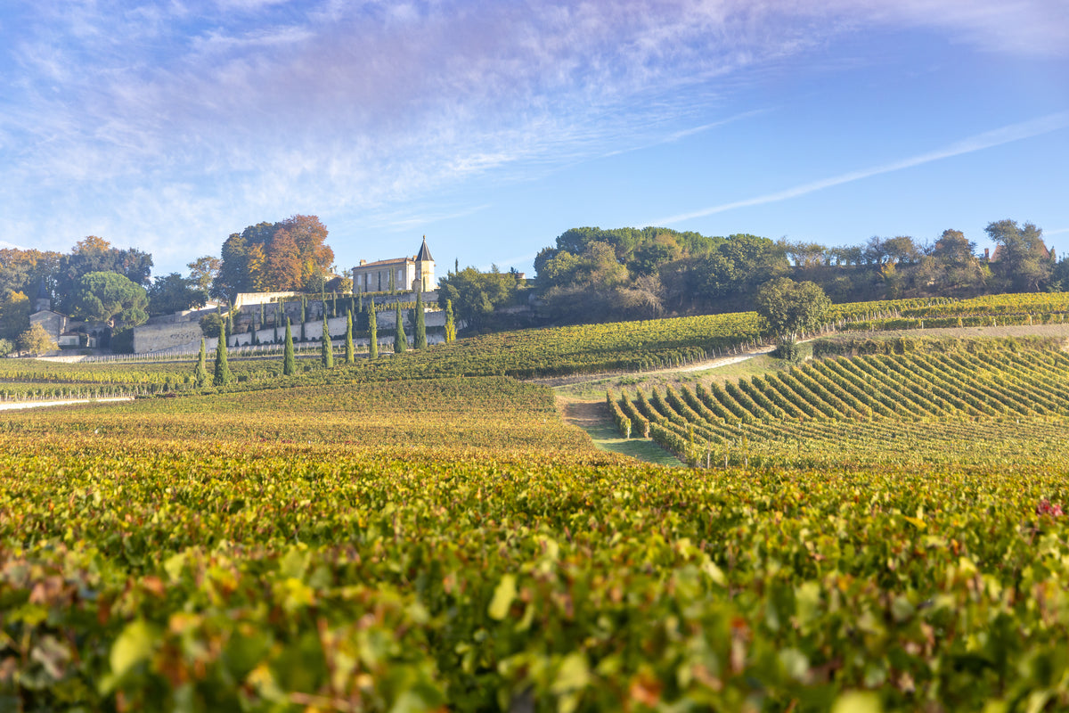 Bordeaux Tasting - Oak & Vine 10/24/2026-0