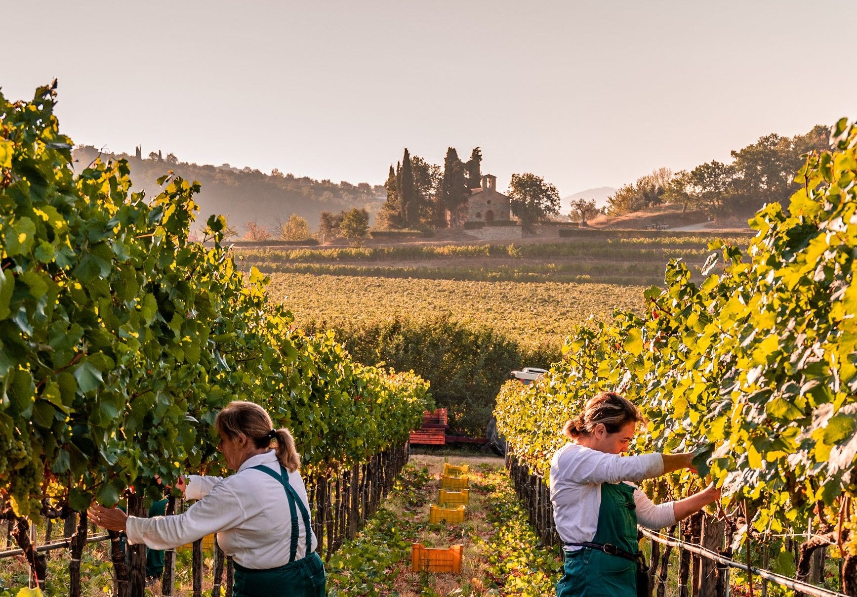 Marchesi Antinori x Celestino Dinner 11/7/2025-0