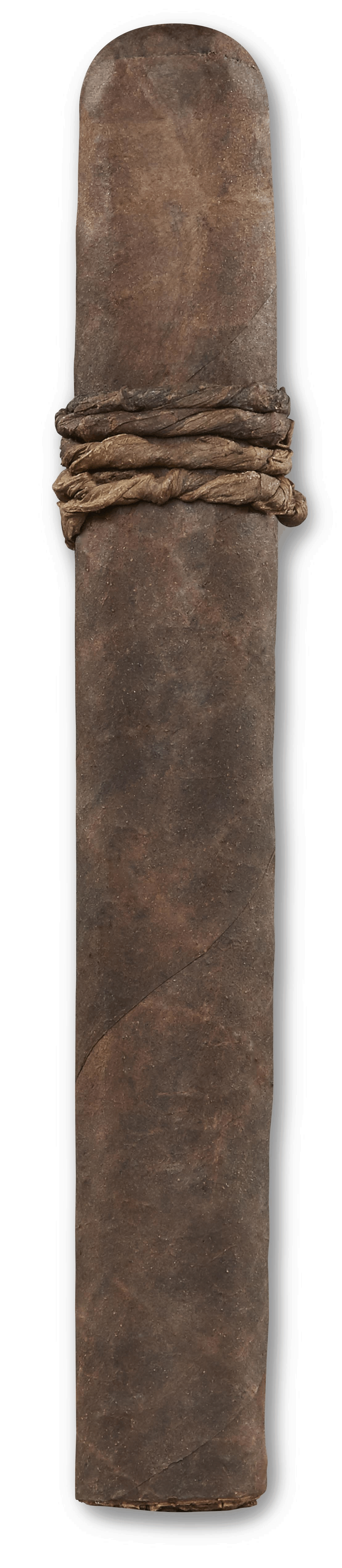 CAO Amazon Basin 2026 Limited Edition Toro-0
