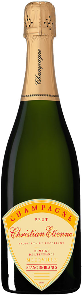 Christian Etienne Champagne Blanc de Blancs 750ml-0