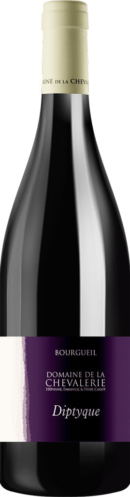 Domaine de la Chevalerie Bourgueil Diptyque 2020 750ml-0