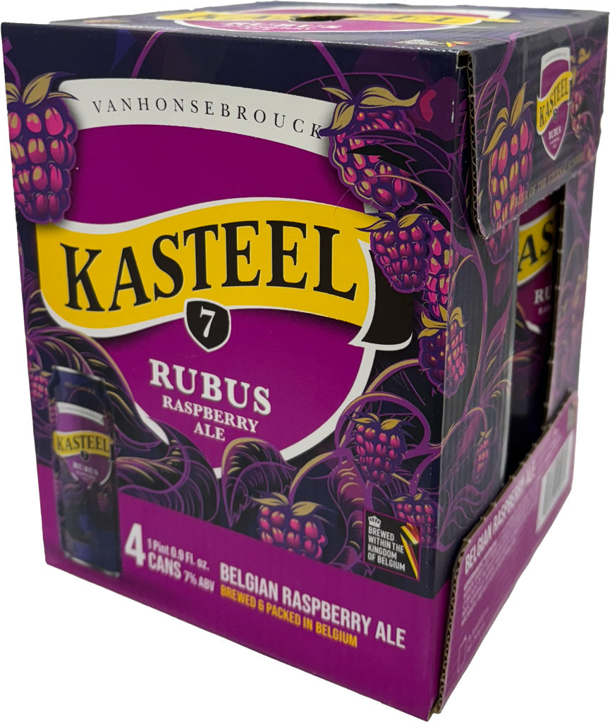 Kasteel Rubus Raspberry Ale 4pk Cans-0
