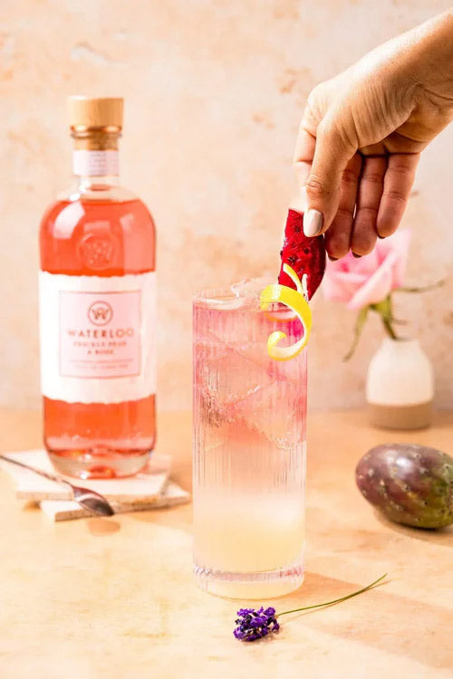 Prickly Pear Collins 🌸