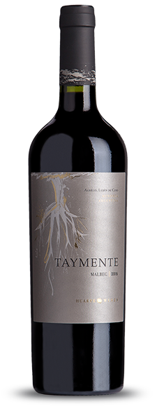 Bodegas y Vinedos Huarpe Taymente Malbec 2019 750ml